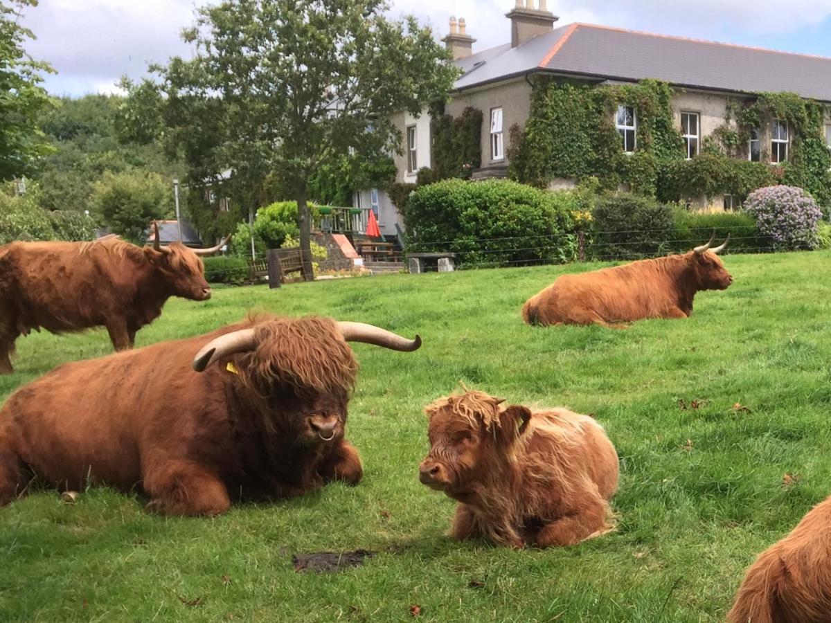 Glendine Country House Wexford Arthurstown Exterior photo