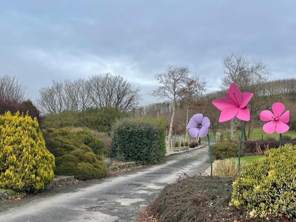 Glendine Country House Wexford Arthurstown Exterior photo
